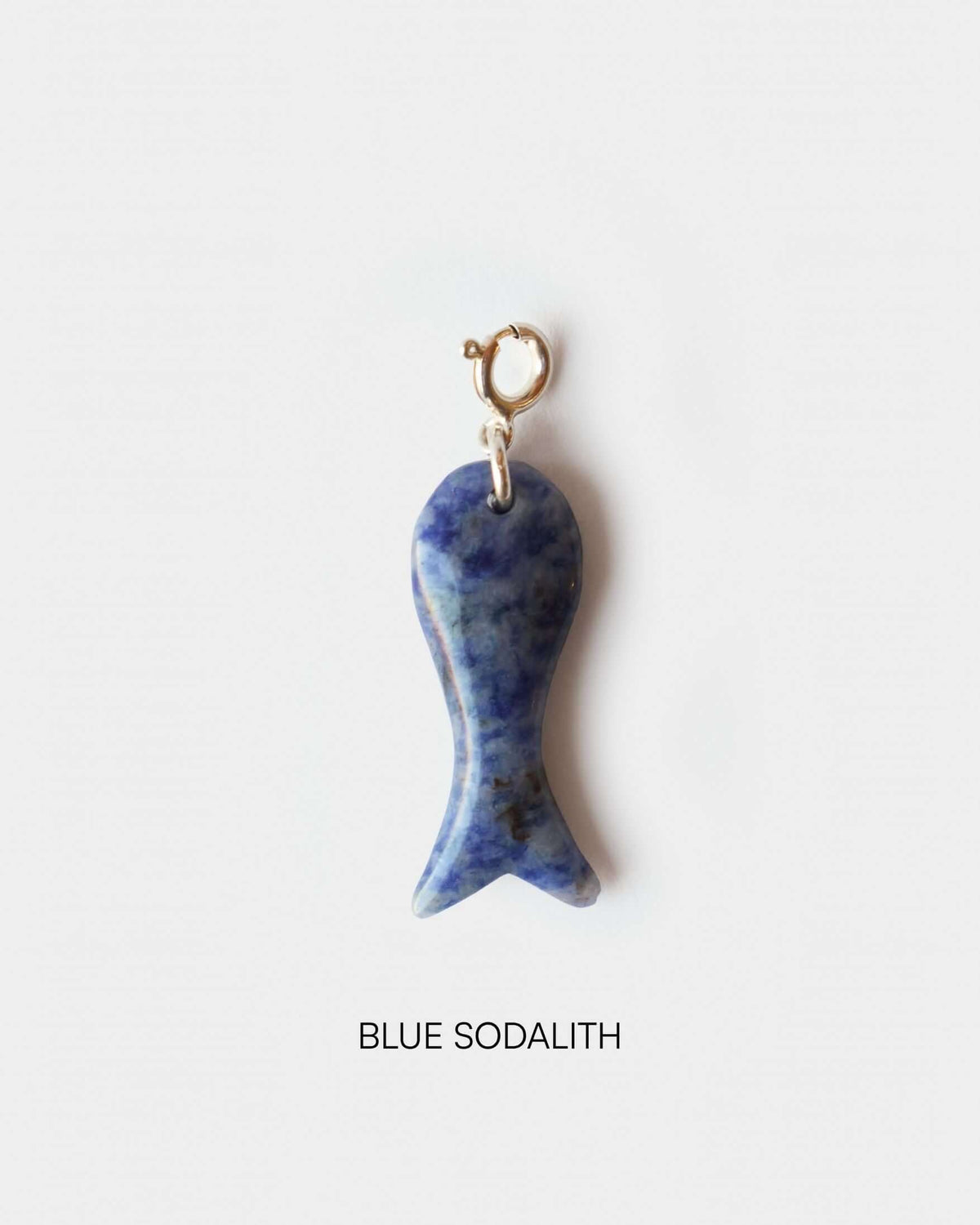 Fish Charm Big