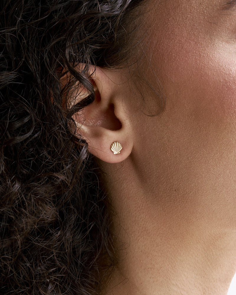 Shell Ohrstecker