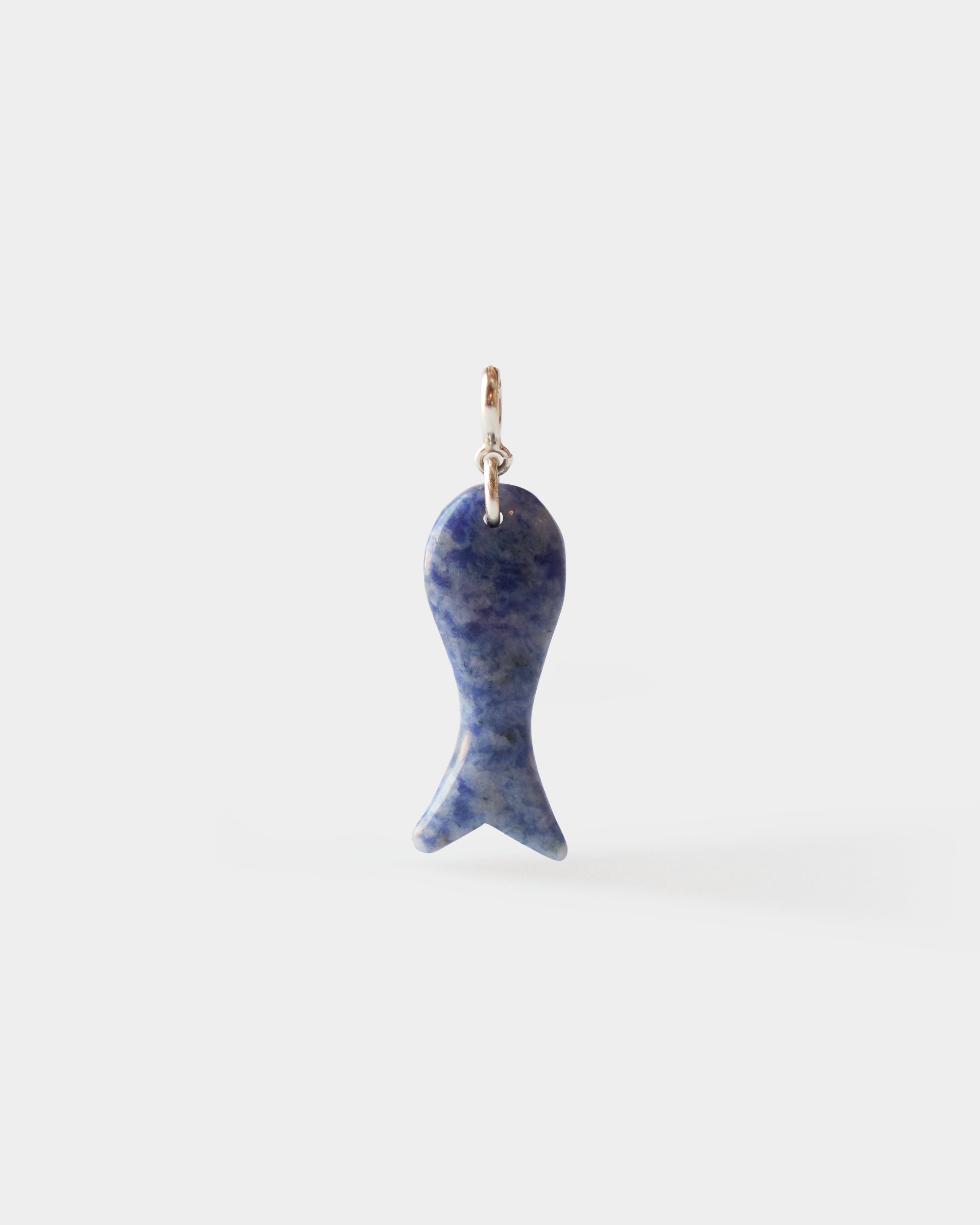 Fish Charm Big