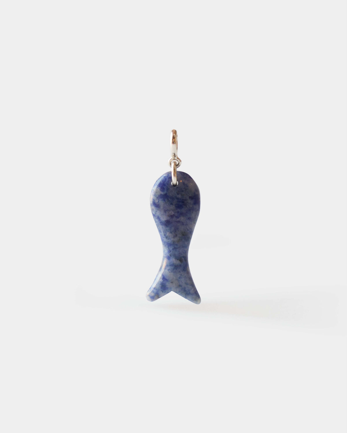 Fish Charm Big
