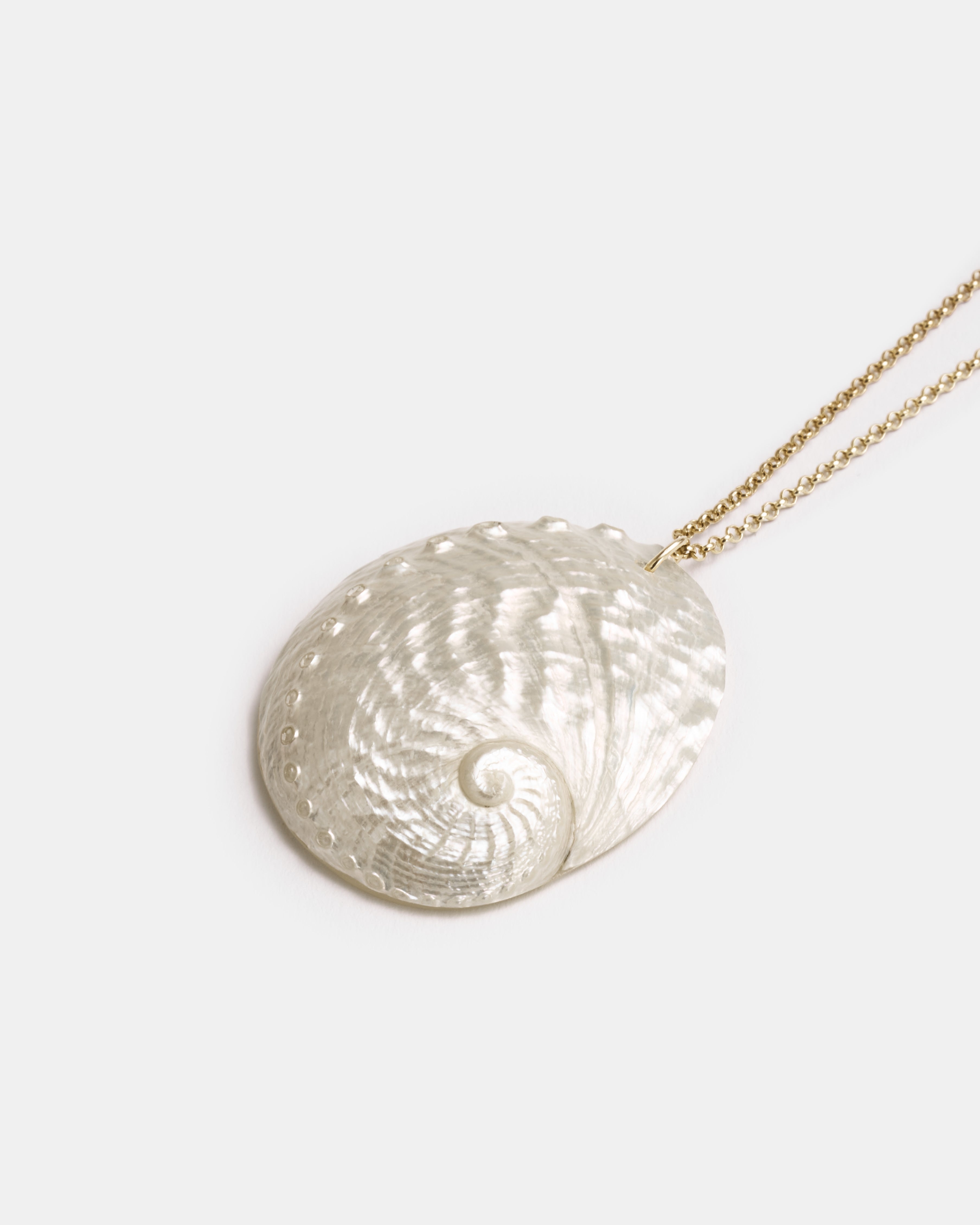 Abalone Necklace