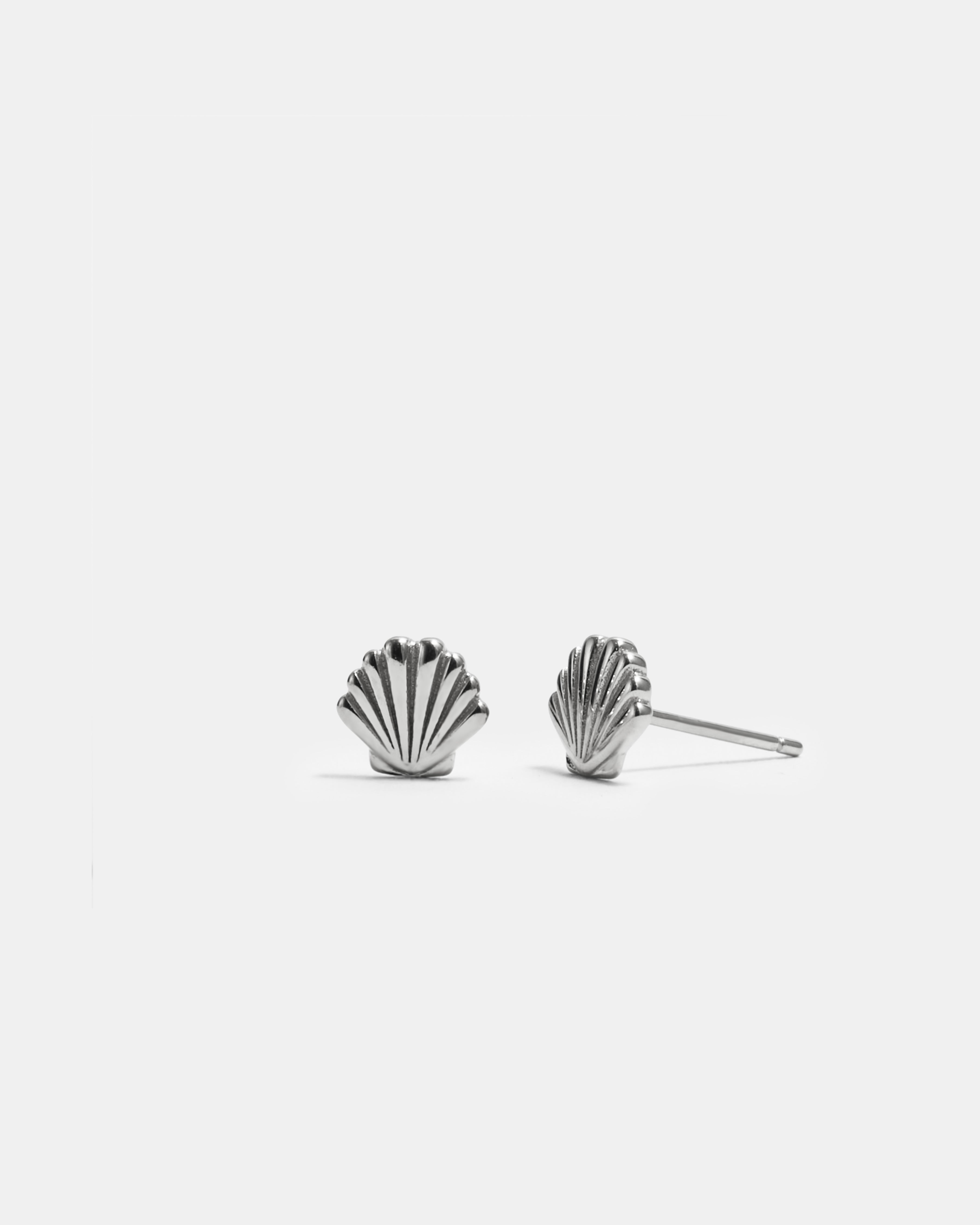 Shell Ohrstecker