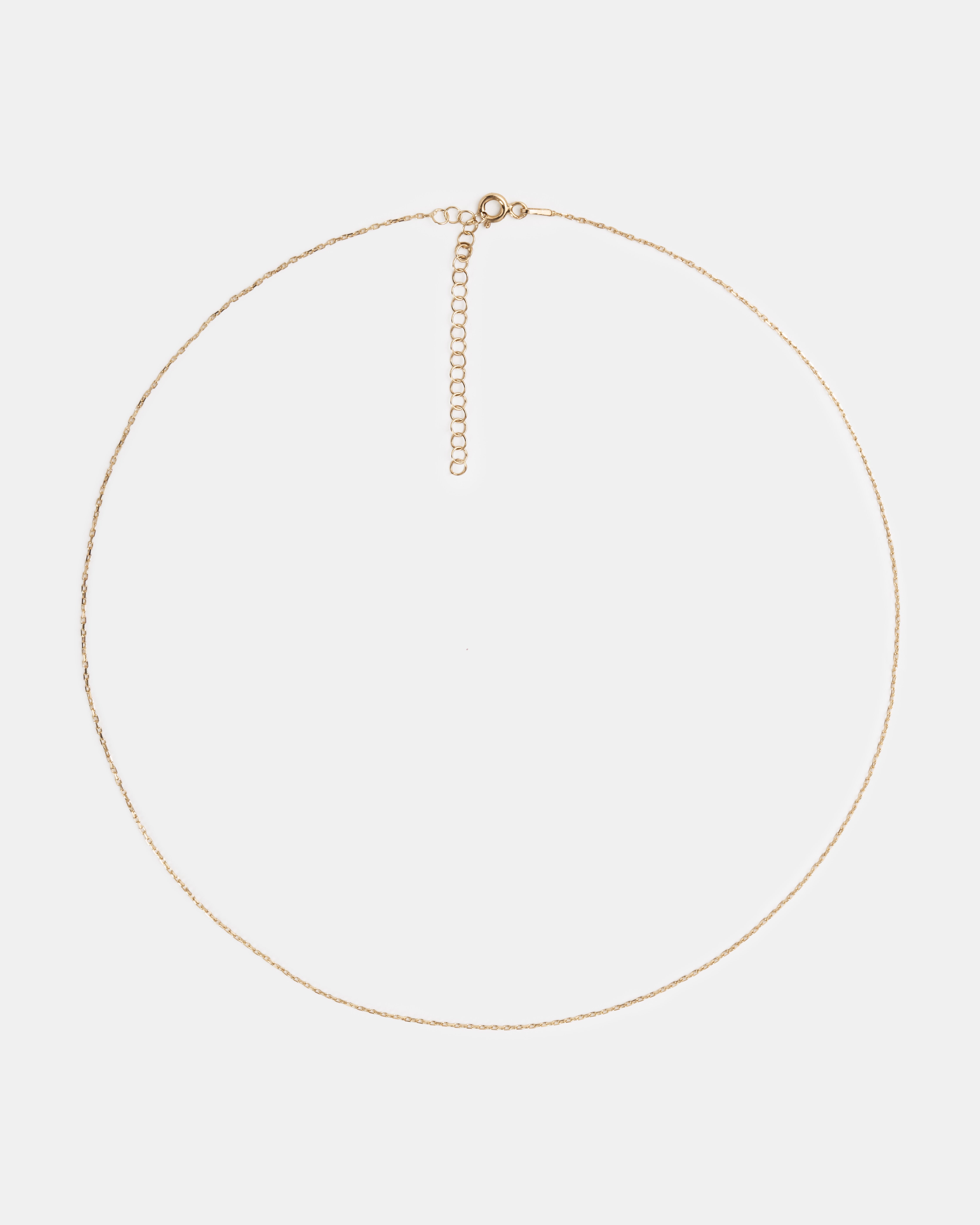 THE DELICATE Necklace