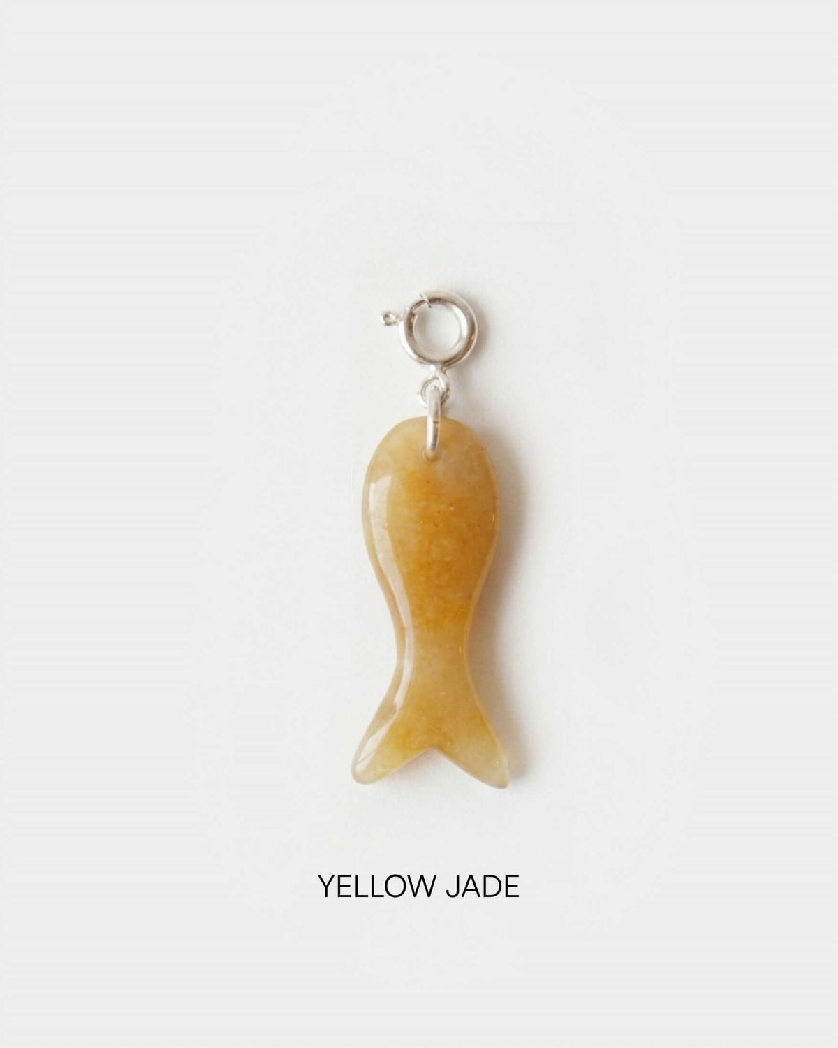 Fish Charm Big