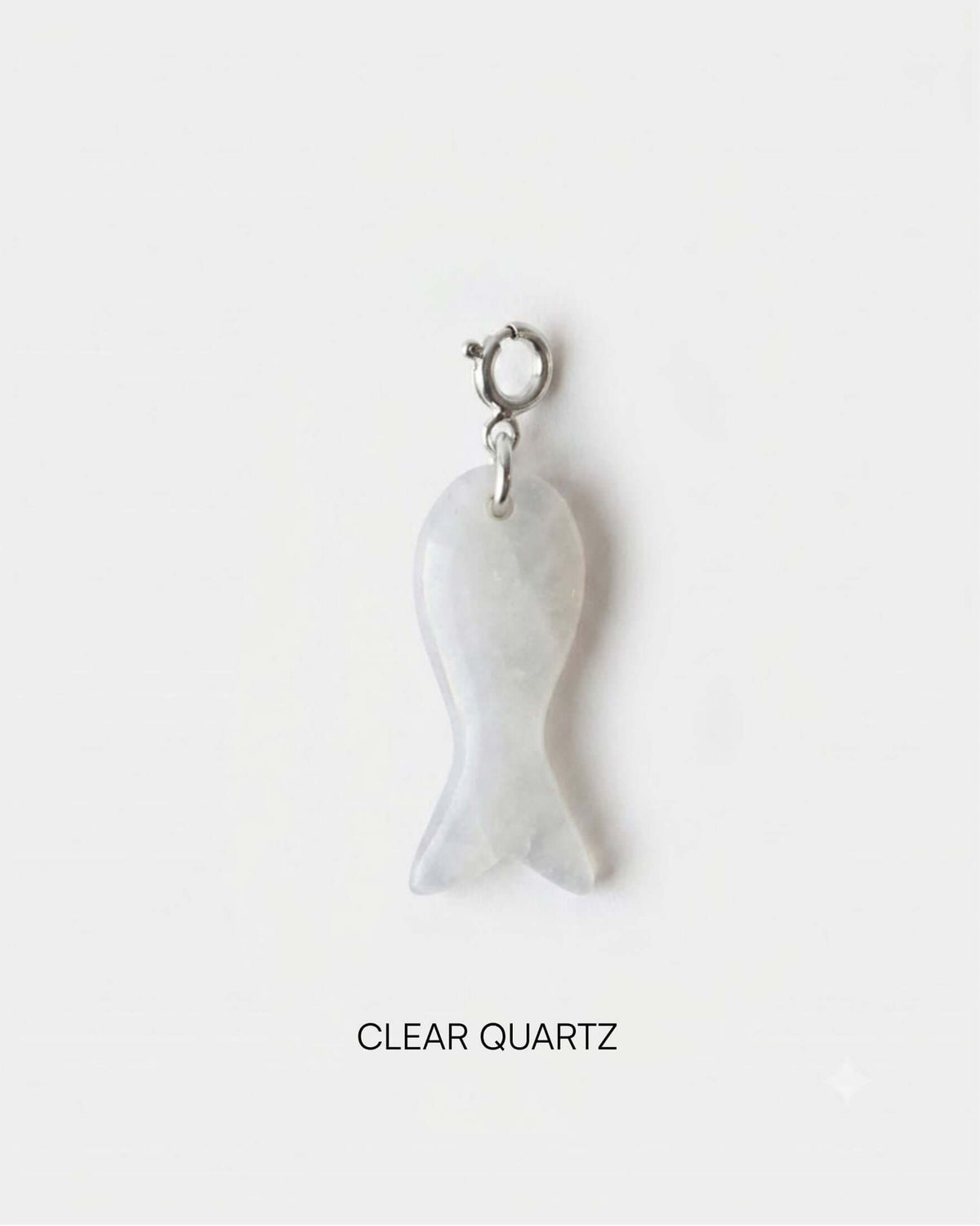 Fish Charm Big