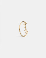 Sunshine Ring