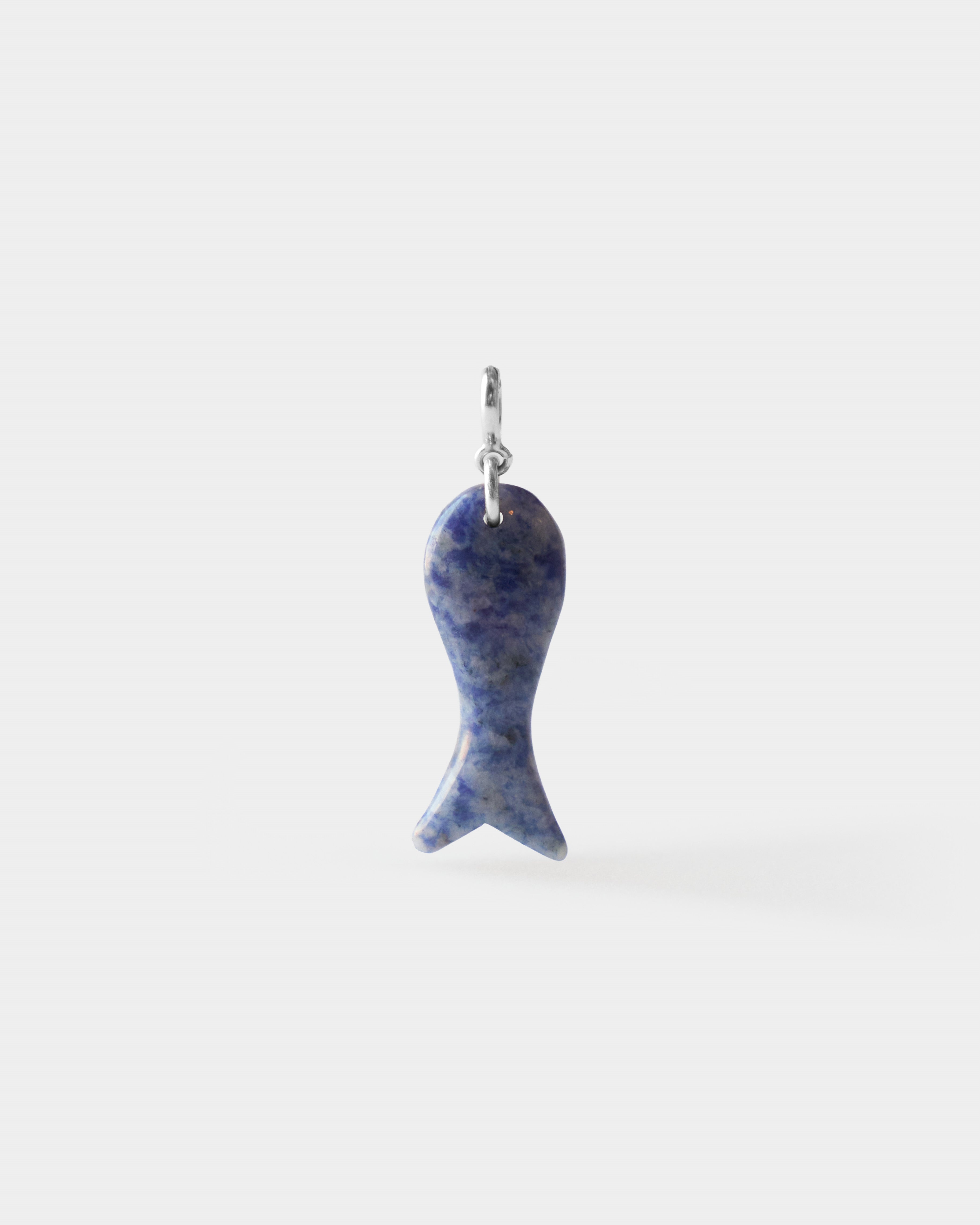 Fish Charm Big