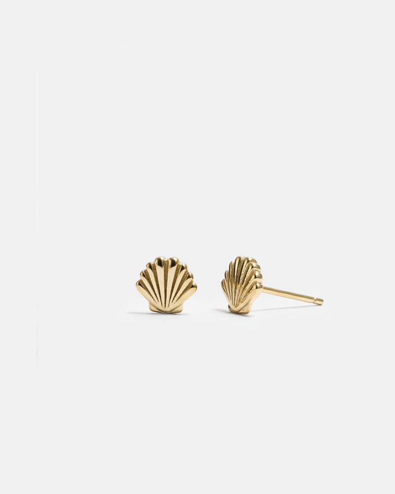 Shell Ohrstecker