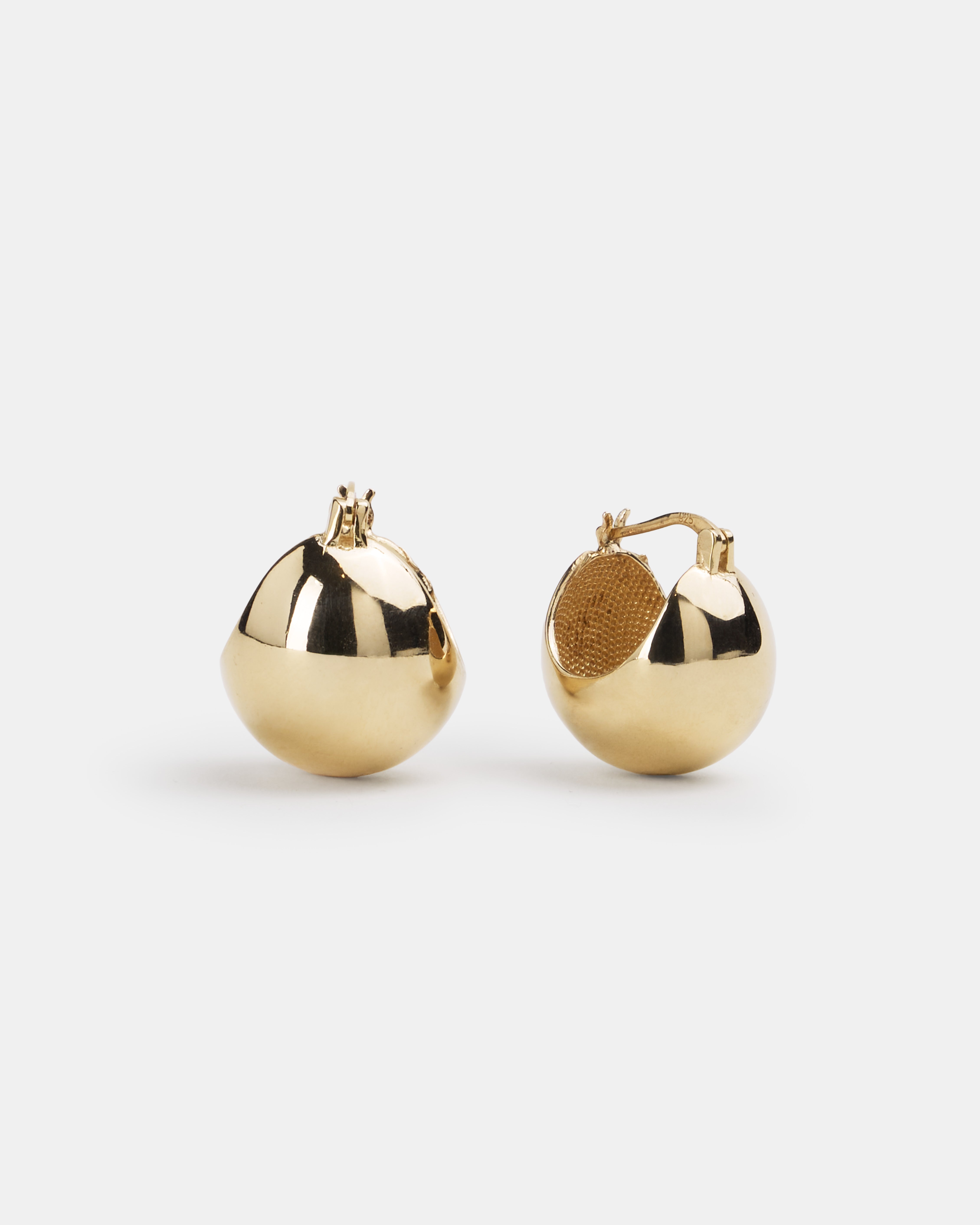 Globe  Earrings